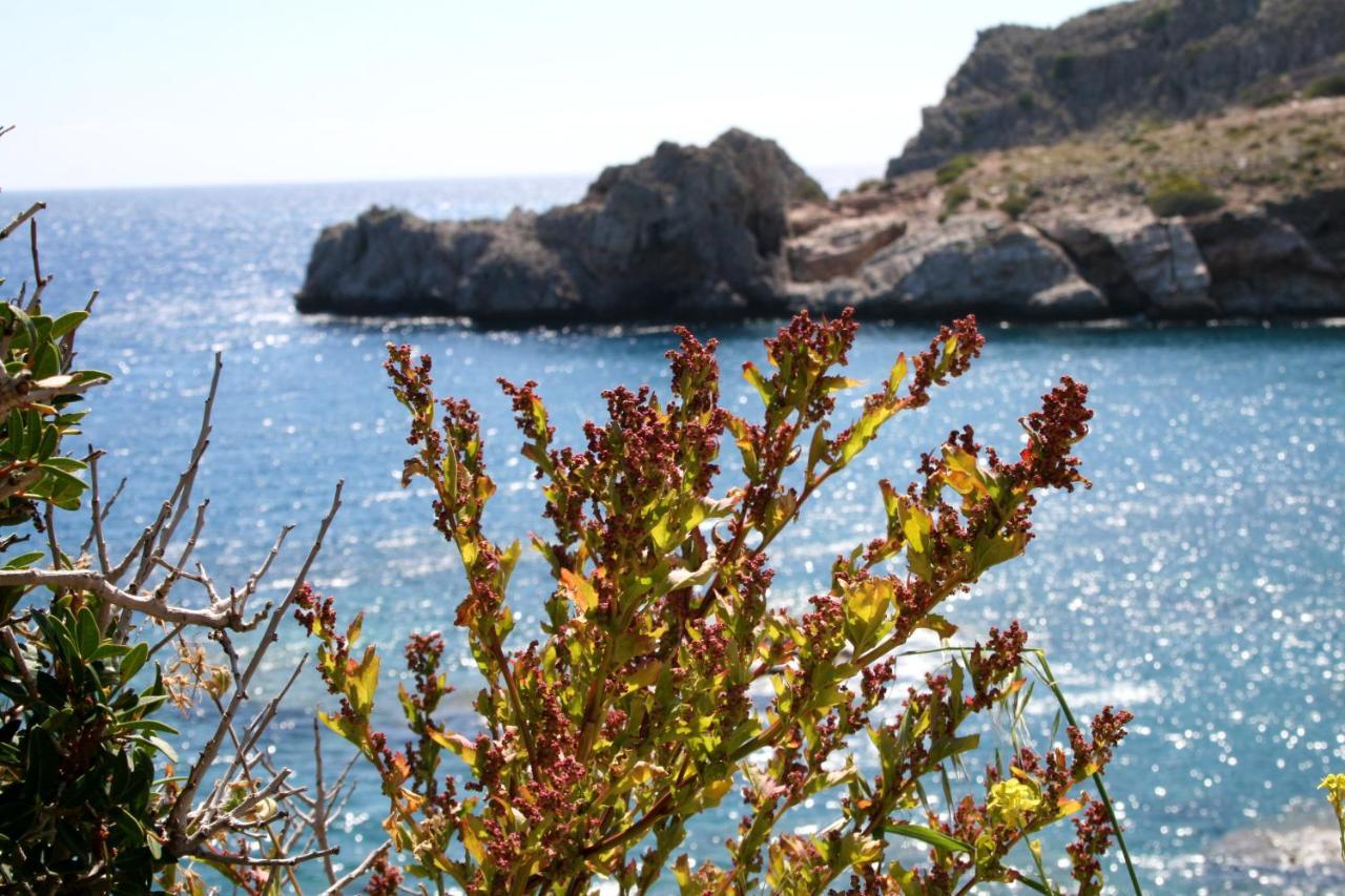 Agios Pavlos Hotel Kültér fotó